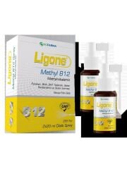 LİGONE METHYL B12 2X20 ML SPREY ( RCFARMA )
